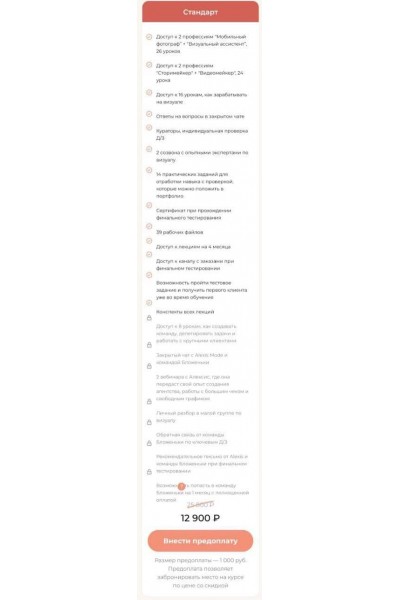 Школа Бложенек: заработок на визуале.  Бложенька Алексис, Ксюша Моррисон . Пакет «Стандарт»