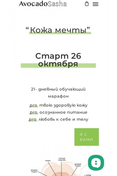 Кожа мечты 2.0. Александра Ефимова, AvocadoSasha