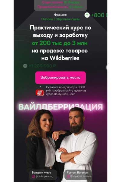 Вайлдберризация Масс Валерия ,Рустам Вагапов