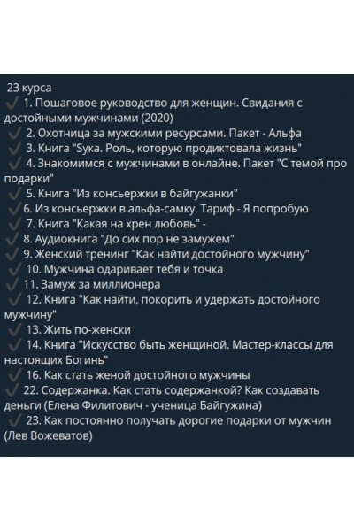 Комплект 23 курсов. Денис Байгужин 