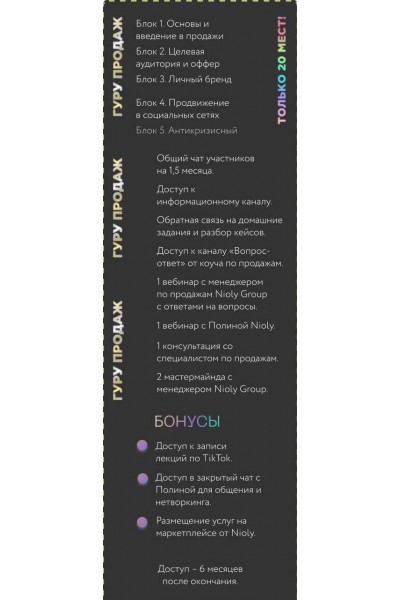 Salemade. Тариф - Гуру продаж. Полина Пушкарева  nioly Ниоли