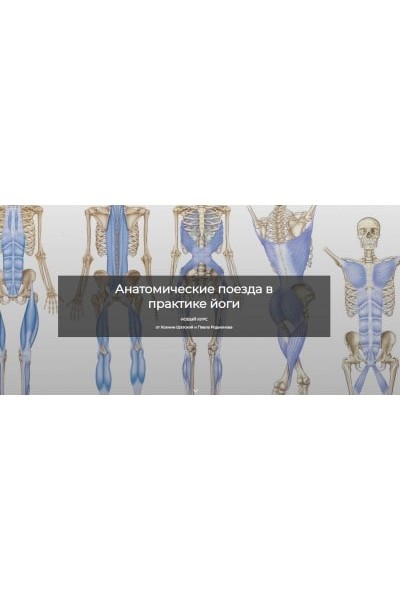 Анатомические поезда в практике йоги. Ксения Шатская, Павел Родионов, Basebody