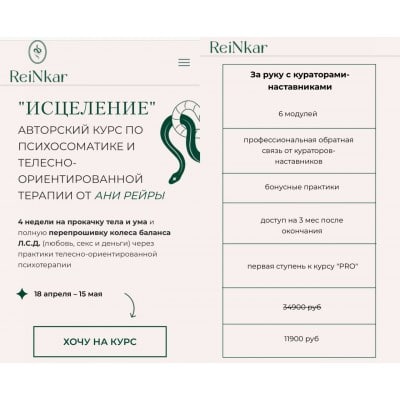 Исцеление. Тариф - За руку с кураторами-наставниками. Аня Протасова Рейра, reira_reira