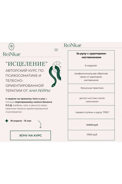 Исцеление. Тариф - За руку с кураторами-наставниками. Аня Протасова Рейра, reira_reira