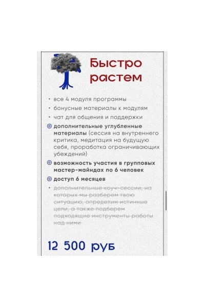 The Limitless. Тариф - Быстро растем. Катерина Сила