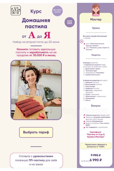 Домашняя пастила от А до Я. Тариф Мастер. Гузель Латыпова, ecosneki