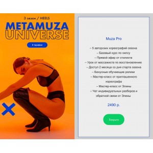 MetaMuza. Тариф Muza pro. Элина Музофарова