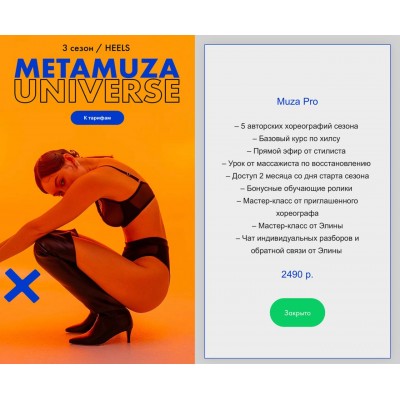 MetaMuza. Тариф Muza pro. Элина Музофарова