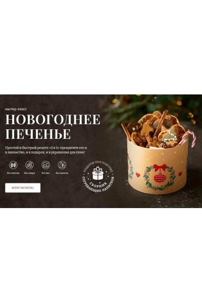 Новогоднее печенье. Елена Богданова, awakenschool