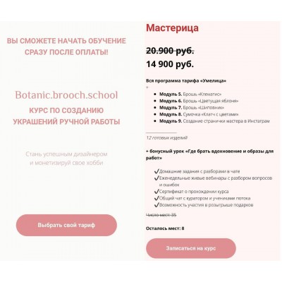 Курс по созданию украшений ручной работы. Тариф Мастерица. Анастасия Демидова, botanic-brooch