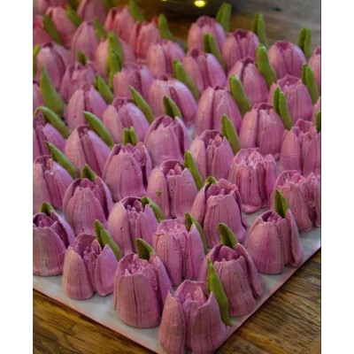 Зефирные тюльпаны. Анна Тверитнева, astra.zefir