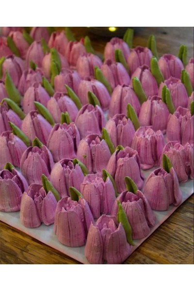 Зефирные тюльпаны. Анна Тверитнева, astra.zefir