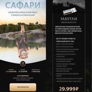 Как выстроить очередь на свой продукт и заработать на этом за 60 дней. Екатерина Кузнецова, Kate Safari