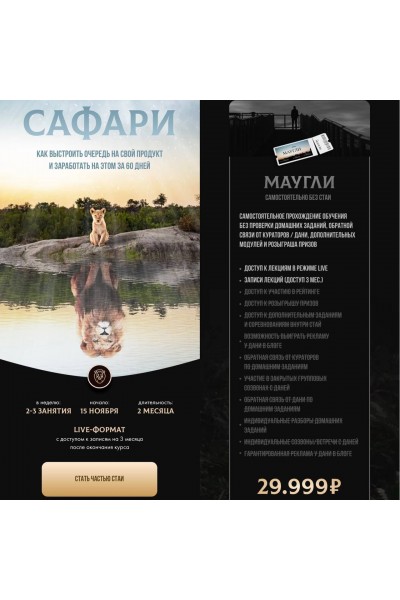 Как выстроить очередь на свой продукт и заработать на этом за 60 дней. Екатерина Кузнецова, Kate Safari