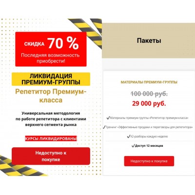 Репетитор Премиум-класса. Марина Шейнкман