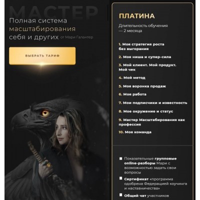 Мастер. Полная система масштабирования себя и других. Мари Галантер