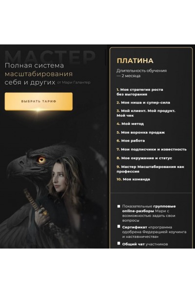Мастер. Полная система масштабирования себя и других. Мари Галантер