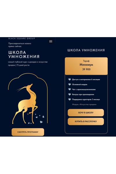 Школа умножения. Валерий Чертовиков, Black Square Group