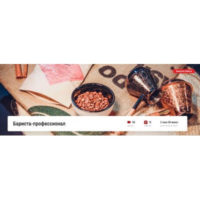 Бариста-профессионал. Дмитрий Лошманов, Яна Петерсон, liga univer