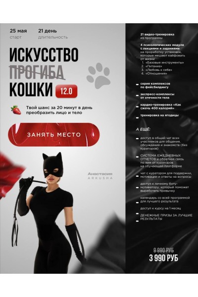 Искусство прогиба (кошки) 12.0. Анастасия Аркуша, arkusha.a