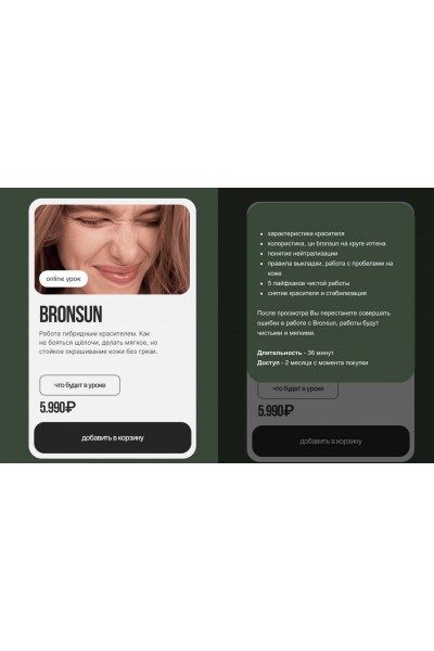 Bronsun. themlyanovaschool