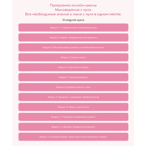 Продвинутый курс «Pro мыловарения с нуля» от Елены Чилдерс. Елена Чилдерс