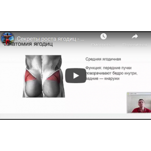 Секреты роста ягодиц. Данил Кабуров