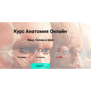 Анатомия Онлайн Лицо, Голова и Шея. Эмилия Савельева Анатомия Онлайн Лицо, Голова и Шея. Эмилия Савельева