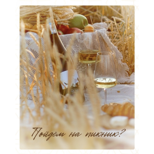 Пойдём на пикник. Ксения Бутолина Arts_bakery