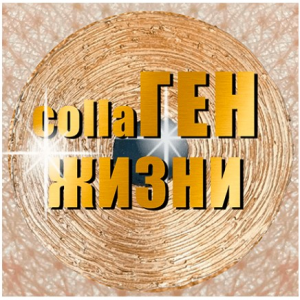 КоллаГен Жизни. Взломай систему клеточного омоложения организма. Ольга Бутакова КоллаГен Жизни. Взломай систему клеточного омоложения организма. Ольга Бутакова