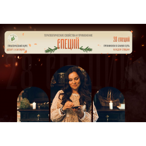 Терапевтические свойства и применение специй. Елена Орлова Терапевтические свойства и применение специй. Елена Орлова