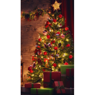 Новогодний мастер-класс Сани Деда Мороза. Лилия Четверикова 2022