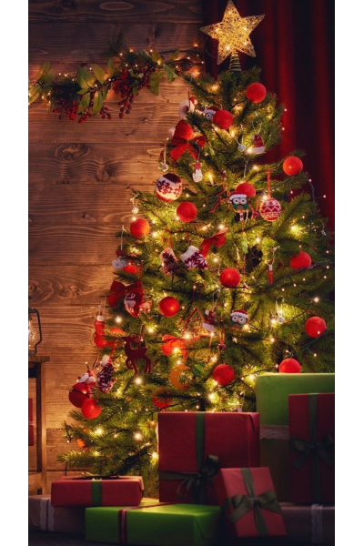 Новогодний мастер-класс Сани Деда Мороза. Лилия Четверикова 2022